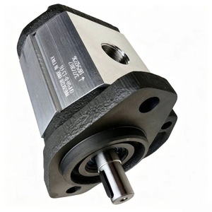 ปั๊มเกียร์ GHP2A D 16 FG ขนาด 16 ซม. ปรับอัตราการไหลได้ 1 แรงม้า ปั๊มไฮดรอลิกไฟฟ้า พร้อมชุดติดตั้งแบบ Card Sleeve - Product Image 5