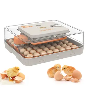 WONEGG inkubator pengontrol telur Mini, penjualan baru Dc12v temperatur bebek 56 telur