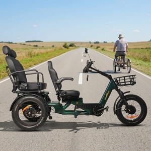 Tricycle Électrique de Transport Haute Qualité 1750W 48V avec Pneus Larges 20 Pouces, 3 Roues et Panier, Batterie 60Ah, Modèle 2026 Nouveau - Product Image 1