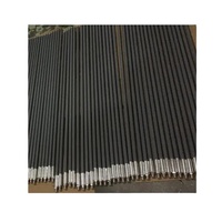 Antenne extérieure omnidirectionnelle en fibre de verre à gain élevé 12dBi 2400-2500MHz/2.4G - Antenne en fibre de verre N-K mâle pour point d'accès WiFi longue portée