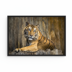 Wild Animal Artwork Canvas Print: Elegant Man Cave Decor,<b>BLACK</b> <b>FRAMED</b> CANVAS - Product Image 2