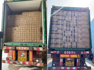 Năng lượng mặt trời 1W <span class=keywords><strong>LED</strong></span> G40 Bóng Đèn Ngoài Trời chuỗi đèn E12 cơ sở <span class=keywords><strong>Patio</strong></span> vườn không thấm nước đèn Cổ Tích Vòng Hoa chuỗi ánh sáng - Product Image 6