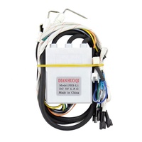 Pengapian Pulsa Pemanas Air Gas DC 3V dengan Port Tampilan Temperatur untuk Perakitan Geyser Gas Instan 6-10 L & Penggantian OEM