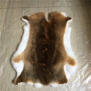 Fourrure de lapin <span class=keywords><strong>chinchilla</strong></span> naturelle, véritable et brute, à vendre à <span class=keywords><strong>prix</strong></span> réduit - Product Image 5
