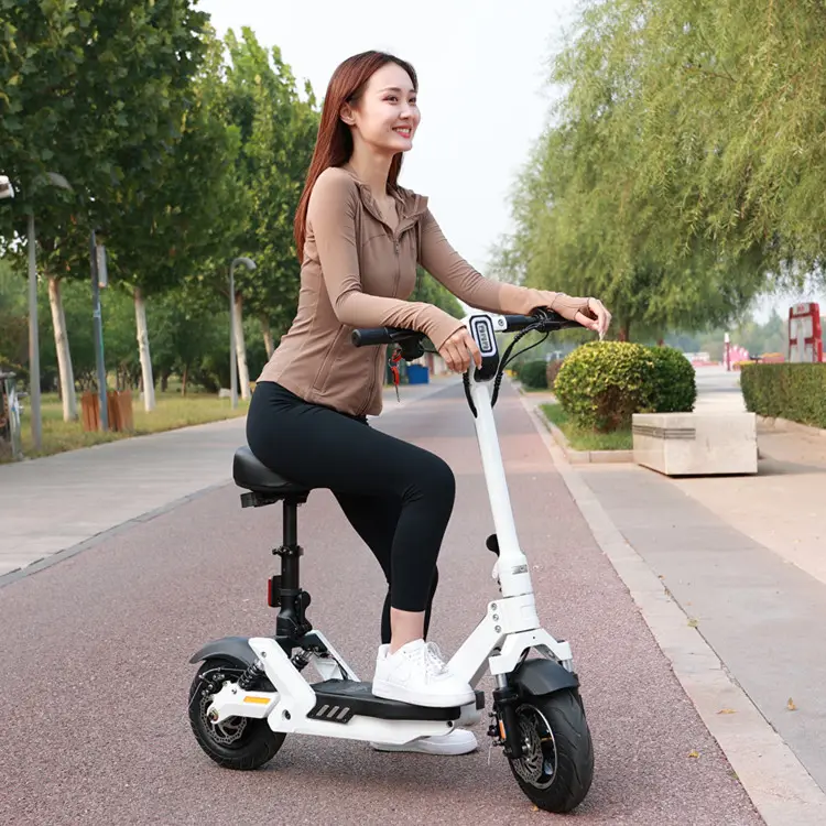 El último estilo popular Scooter Eléctrico para adultos 48V 18ah scooter de largo alcance 600W e-scooter plegable