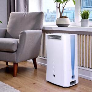 Déshumidificateur électronique silencieux DD6 pour la maison - OEM/ODM disponible - Product Image 1