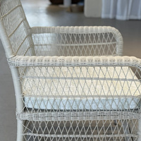 Chaises de salle à manger en osier d'extérieur avec accoudoirs et coussins pour jardin et terrasse