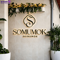 Letrero Comercial Personalizado de Acero Inoxidable con Retroiluminación, Grabado en 3D, Color Negro Mate, Logotipo para Pared Exterior para Centros Comerciales, Empresas, Salones de Belleza y Tiendas
