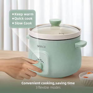 Autocuiseur <span class=keywords><strong>électrique</strong></span> domestique 3 litres à contrôle de temps, boîtier en plastique, cuisson lente, vente chaude - Product Image 3