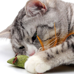 Jouet à <span class=keywords><strong>chat</strong></span> en forme de souris avec queue à plumes, friandise à mâcher très populaire sur internet pour chats, <span class=keywords><strong>herbe</strong></span> à <span class=keywords><strong>chat</strong></span>, accessoires pour animaux de compagnie - Product Image 6