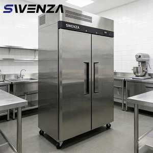 Réfrigérateur vertical commercial SWENZA à température unique, double porte, équipement de cuisine personnalisé - Product Image 1