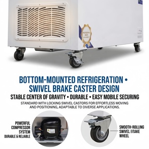 <span class=keywords><strong>Freezer</strong></span> Komersial Tahan Lama Berkualitas Tinggi untuk Penyimpanan Makanan dalam Jumlah Besar dan Pasokan Grosir Pasar - Product Image 6