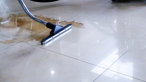 2079W 4 in 1 60L Multi-functional Carpet&amp;Sofa <strong>Cleaner</strong> China Motor Carpet <strong>Cleaner</strong> <strong>Machine</strong> <strong>Upholstery</strong> Cleaning <strong>Machine</strong> - Product Image 3