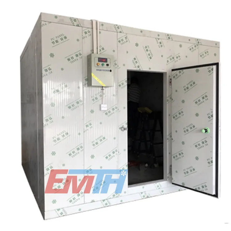 EMTH Cold Room Size like 20ft container Cold Storage Room Walk in Cooler Freezer Containers Refrigeration Equipment Fan Cooling