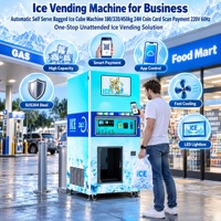 Distributeur automatique de glace en sachets pour entreprise, machine à glaçons libre-service 24h/24 avec paiement par pièces, carte et SDK, 220V 60Hz