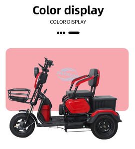 Elderly Friendly Electric Three Wheeler Kids Pickup Transport Bike - Product Image 6