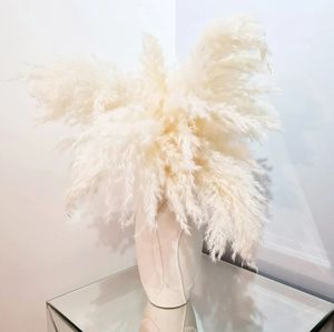 Hierba blanca de Pampas, hierba de caña seca esponjosa para decoraciones de bodas y festivales, Pampas de lujo salvajes verdaderamente naturales para graduación - Product Image 1
