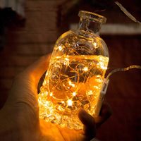 TSINYE 20 LEDs Mini String Lichterketten Batterie betrieben Warmweiß Twinkle Firefly Stars Silberdraht Weihnachts dekoration