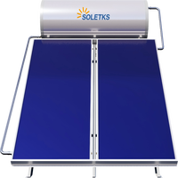 Chauffe-eau solaire modulaire non motorisé 150L, options pressurisées et à plaques plates, économie d'énergie pour usage domestique extérieur