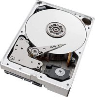 Pour disque dur NAS SATA Seagate IronWolf ST1000NE008 10 To 256 Mo 3,5 pouces