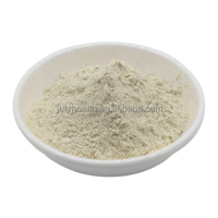 Prix Bonne Qualité Gomme Acacia Poudre Hashab Gum Poudre Arabe