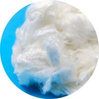 Fibre de bambou brute blanche 1.4D 38mm biodégradable pour le filage