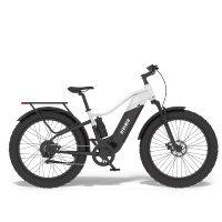 Bicicleta Eléctrica VIVINIU T03 Pro 24''*4.0'' con Configuración Opcional de 250w/500W/750W/1000W para Fanáticos del Deporte con Neumáticos Gruesos