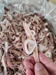 Anillos y Tiras de Calamar Dosidicus Gigas Congelados IQF, Procesamiento de 1 kg, Proveedor de Mariscos de China, Marca HUANGDA, 24 Meses de Duración - Product Image 4