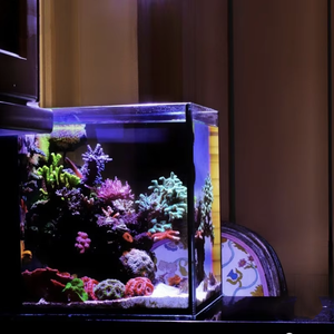 Aquarium marin écologique en <span class=keywords><strong>verre</strong></span>, ensemble complet, petit, blanc, pour débutants, bureau, 40, filtre arrière, fonctionnement facile, aquarium pour poissons coralliens - Product Image 1