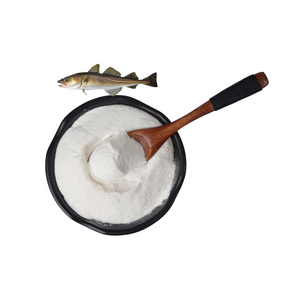 Péptidos de Colágeno Marino Hidrolizado a Base de Pescado, Innovadores, en Polvo, Formulados para una Máxima Solubilidad y Entrega Eficiente de Nutrientes - Product Image 1