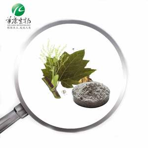 Мощный антиоксидантный экстракт Polygonum Cuspidatum 98% ресвератрола из японского спорыша - Product Image 2