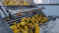 Turnkey fruitjam productielijn complete verwerkingsinstallatie voor aardbeien-, mango- en bosbessenjam met tube-in-tube UHT-sterilisator