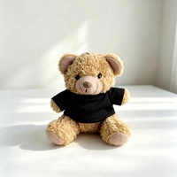 SongshanToys OEM Personnalisé Marron Gris Rose Blanc Pendentif Porte-clés Ours en Peluche Miniature 10 cm avec Logo et T-shirt Imprimé Coloré