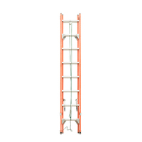 Échelle extensible en fibre de verre, profil en aluminium, droite, minimaliste, pour l'extérieur, matériau industriel, plateforme en fibre de verre