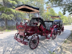 Voitures à chevaux électriques HengYiSheng pour mariages et excursions touristiques - Product Image 2