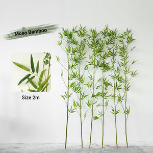 Vente chaude en plein air maison paysage décor en plastique <span class=keywords><strong>artificiel</strong></span> <span class=keywords><strong>bambou</strong></span> arbre plante de haute qualité pour une utilisation intérieure et extérieure - Product Image 5