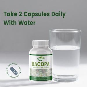 Compléments alimentaires à base de plantes nootropiques pour le soutien de la mémoire et des fonctions cognitives, marque privée OEM, extrait de Bacopa Monniera en capsules - Product Image 4