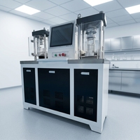 Máquina de Ensayo Integrada de Compresión y Flexión de Cemento Automática NAILATE (DYE-300S), Equipo de Prueba de Laboratorio, 1 Año de Garantía