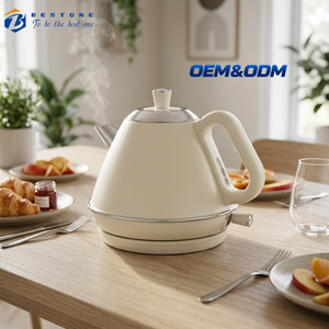 Bouilloire électrique compacte 1,0 L en acier inoxydable, chauffe-eau rapide avec indicateur LED pour la cuisine à domicile - Product Image 1