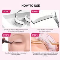 Extensions de cils artisanales avancées en bande complète pour la formation des débutants en pose de faux cils