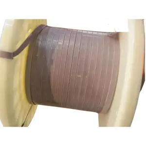 Cu-ETP1 Flat Wire Insulated With PEEK 200 Grade