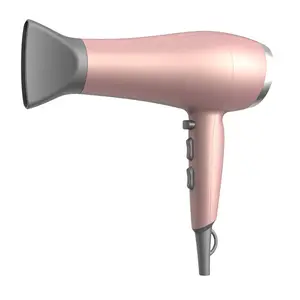Secador De Pelo 2200W Powerful Salon Hairdryer CE With Diffuser On Step Private Label OEM Package Hair Dryer