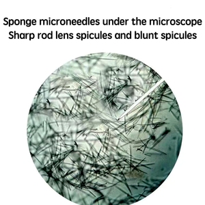 Sérum en Poudre de Spicules de Spongille à Microneedle OEM/ODM, Bio Peeling aux Algues Vertes pour Usage en Salon, Élimination de l'Acné, Peeling aux Algues - Product Image 3
