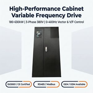 <span class=keywords><strong>Convertidor</strong></span> <span class=keywords><strong>de</strong></span> Frecuencia <span class=keywords><strong>de</strong></span> Gran Potencia 315KW 355KW 400KW 450KW 500KW 560KW 630KW 380V Trifásico VFD AC Drive OEM ODM - Product Image 4