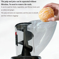 Extracteur de Jus Commercial Vertical à Pression Lente et à Froid, Presseur de Jus à Mastication, Séparateur de Pulpe, Équipement pour Fruits et Légumes
