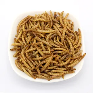 High quality wholesale mealworms birds food chicken worms feeds for farm