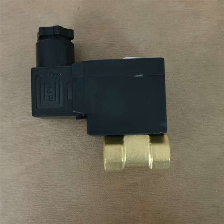 CEME RFS DL 6C BONA Boiler