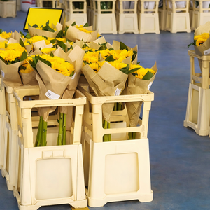 Vaso Moderno in Plastica per Fiori da Esposizione con Estensione per Centri Giardinaggio - Product Image 1