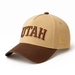 High Quality Custom 3D Embroidery Logo