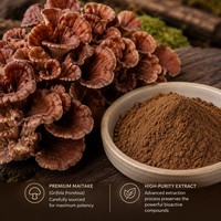 Extrait de champignon Maitake naturel en poudre, 30% 50% de polysaccharides, complément alimentaire de qualité alimentaire